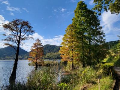 Latvijas L&#257;cisの大冒険♪ 紅葉のはじまりを迎えた藺牟田池