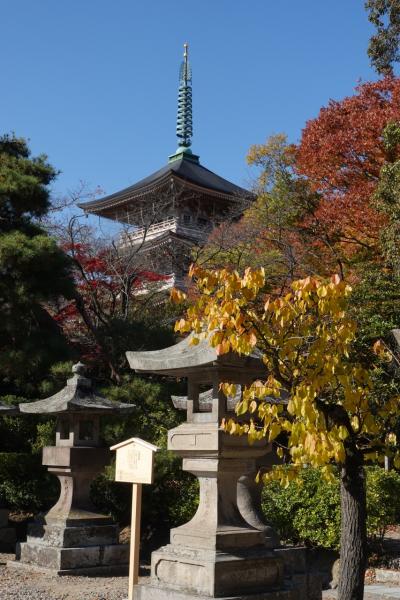 家族で行く紅葉の長野・善光寺