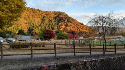 西湖いやしの里根場