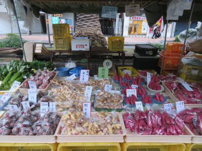 心の安らぎ旅行（2022年10月 四国 6泊7日の旅 日曜市 Part37♪）