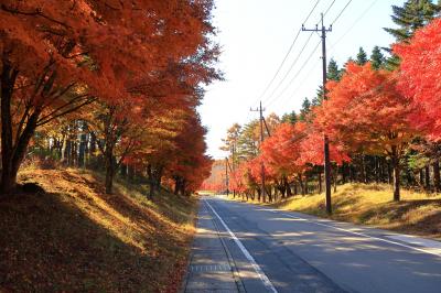 もみじLine(山梨県富士吉田市)へ・・・