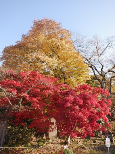 Ｍ　ＮＯＶ　２０２２　　テツ旅１５・・・・・11　飯盛山その弐