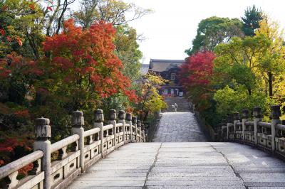 20221111-1 京都 大谷本廟の紅葉