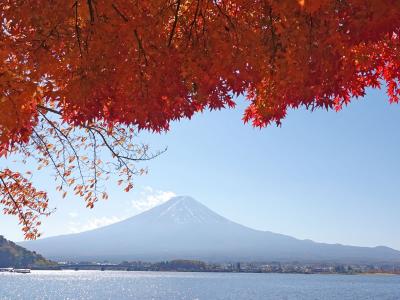 紅葉を見に河口湖へ 2022.11.08 ＝4.もみじ回廊近くの湖畔の散歩＝