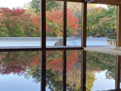 宝徳寺床紅葉と吹き割りの滝