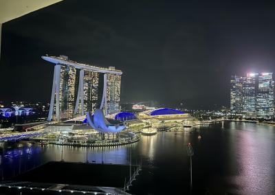 夢じゃないよね!シンガポール② マンダリンオリエンタルクラブルームステイ、ウェスティンに移動