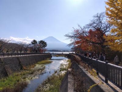 紅葉見にいこうよう～···リハビリ兼ねて歩かなきゃ