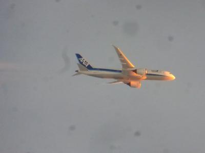 ANA＆JALの特典航空券で行く 東京１泊旅【途中でＡＮＡ機に追い抜かれた、ＧＫ５１５便（Ａ３２０） 成田～福岡間搭乗編】