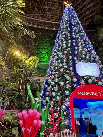 夢じゃないよね!シンガポール③ 街歩きとサンズ展望台、空港ラウンジホッピング♪と帰国便のビジネスクラス