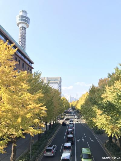 2022 横浜 黄葉散歩＠日本大通り～山下公園通り