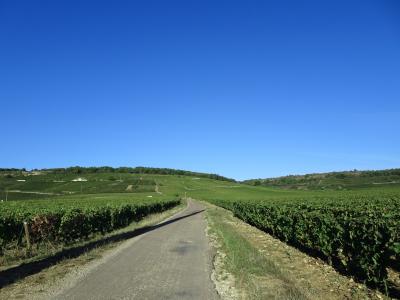 フランス東部の美しい村めぐり⑨ 7日目最終日ヴォーヌロマネ・ボーヌ