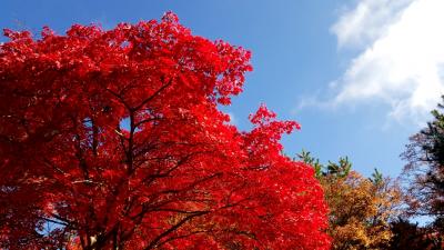 長野で紅葉狩り　２