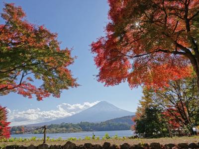 紅葉を見に河口湖へ 2022.11.08 ＝5.もみじトンネルへ＝