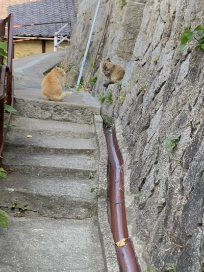 広島の旅　　①海がすぐそばに。尾道～旧和泉邸～千光寺～猫の細道～艮神社～商店街をぶらぶらと。