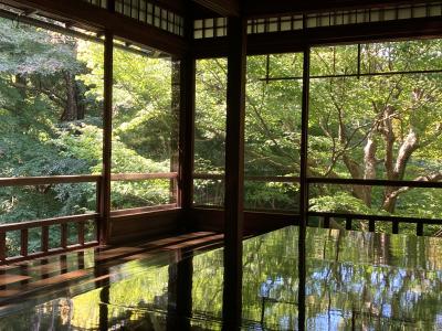 京都あっちこっち歩き★6日目【百万遍手づくり市・瑠璃光院・下鴨神社】