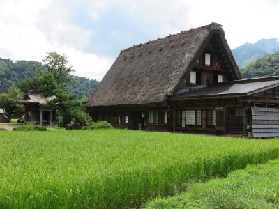 白川郷　合掌造りの見学