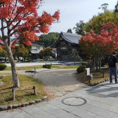 紅葉なども含めて予定外の経験を楽しめた太宰府の旅