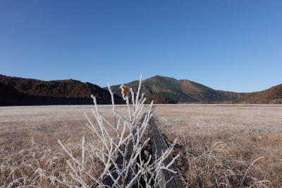 2022年最初で最後の尾瀬行は山小屋閉め直前⑤零れそうな星空､再びの大霜､最終日ごきげんの天気でした