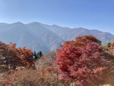 2022/11 紅葉の三峯神社