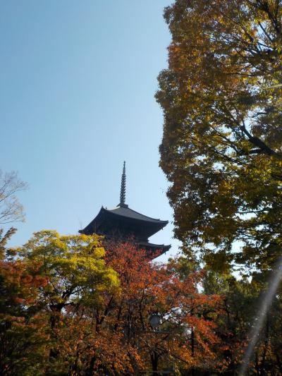 京都紅葉巡り２０２２  ２週目　弘法大師の本拠地東寺へ