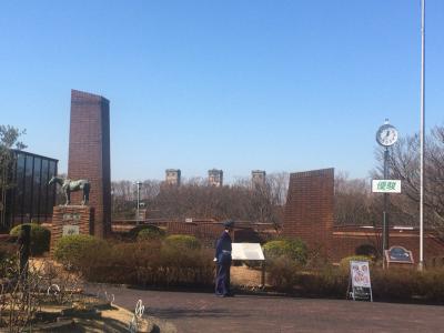 日帰り:馬の博物館〈刀装具にかかれた「馬のおはなし」〉