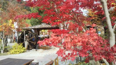 22年11月 甲州最古の名湯 岩下温泉旅館 前半 昇仙峡・ワイナリー・ほうとう編