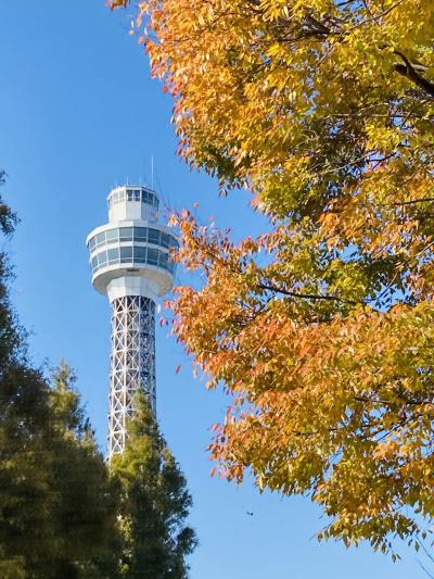 ～2022年11月　みなとみらい　ウォーキング大会～