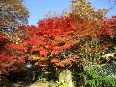 紅葉と岩寿荘で夫婦でノンビリ