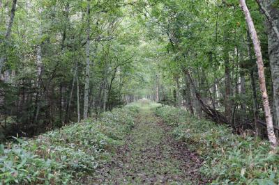 どこかにマイルで北海道♪Part2道東 その4