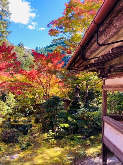 【京都府】１泊２日　京都の紅葉がはじまったの旅