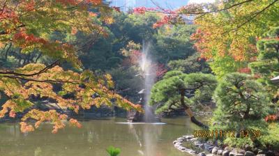 久し振りに紅葉の日比谷公園を訪問②松本楼～雲形の池付近