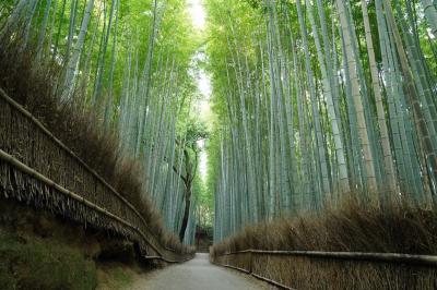 ふらり、初秋の京都へ【２】～初秋の嵯峨野を歩く～