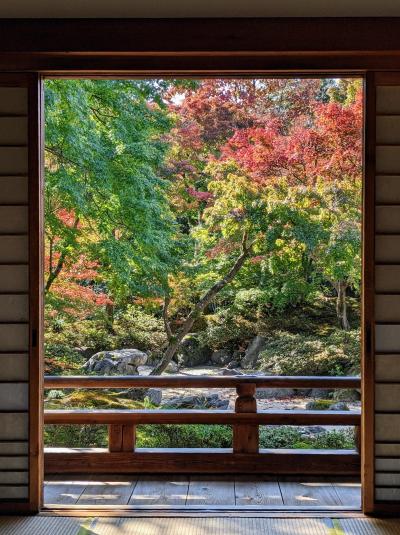 2022年11月京都紅葉紀行①嵯峨野（清凉寺、宝筐院、二尊院など）