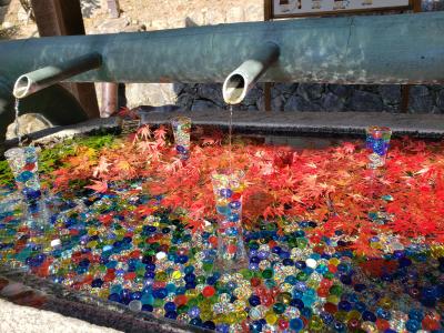 母・弟と行く秋の岡寺~御朱印帳でほめられちゃった(*'ω'*)