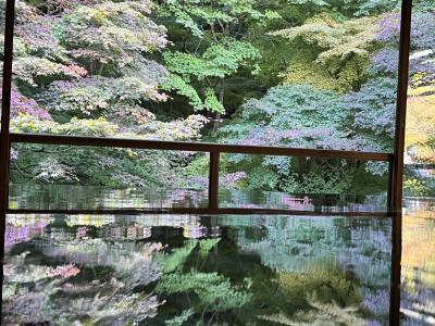 そうだ、京都へ行こう！友達４人１泊２日　ひと足早目の紅葉