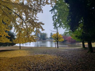 JOECOOLさんご家族と歩く雨の奈良~正倉院・大仏池・工場跡(#^.^#)