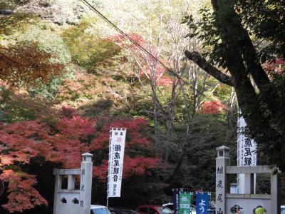 もみじ寺　寂光院の紅葉