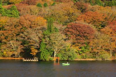 女一人旅【第１６弾】静岡・神奈川（箱根）　～その１～