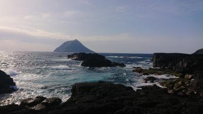 ほぼ確実にウミガメに遭える東京の島