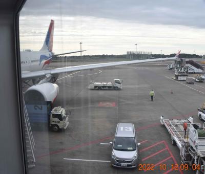 ヒマラヤ越え　アネハヅルを撮る　　２０２２年版      帰国編