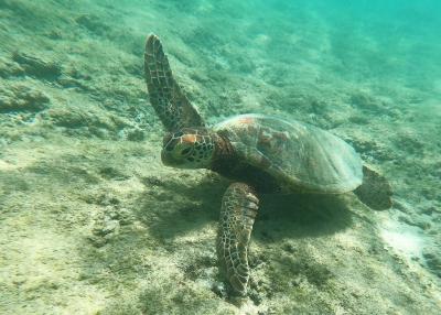 2022　宮古島　シギラミラージュ②