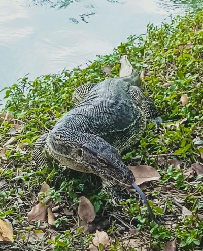 バンコク・パタヤの旅 ３スクンビット編