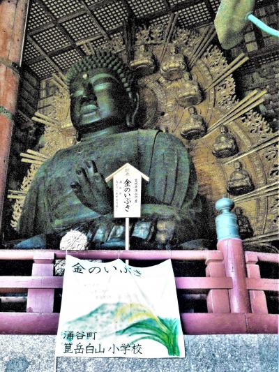 古都 奈良は紅葉の始まりでした(11月上旬);奈良公園エリア