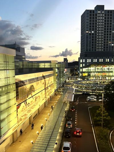 『越前海岸~若狭湾 巡り』 ① 恐竜の福井 街並み散策・グリフィス記念館