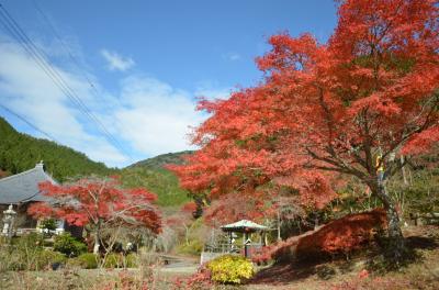 3年ぶりに紅葉を見に行きました。（丹波篠山　もみじ三山へ）