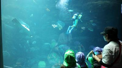 新江ノ島水族館