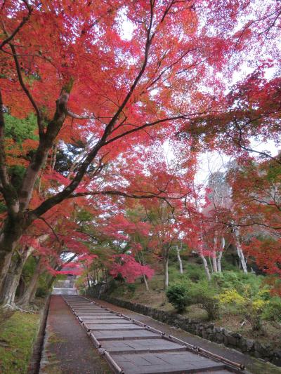 2022.11.17 木　京都紅葉　毘沙門堂・大原三千院・曼殊院・銀閣寺・永観堂・真如堂探索