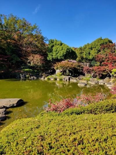 美術展と国分寺崖線散策