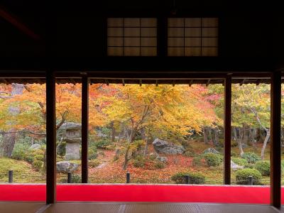 秋の京都へ ②　圓光寺