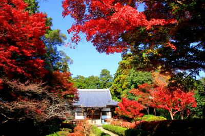 龍泉寺の紅葉　富田林市